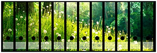 Wallario Ordnerrücken Sticker Pusteblumen im Wald mit einfallenden Sonnenstrahlen - Rückenschilder für 12 breite Ordner, Klebeetiketten