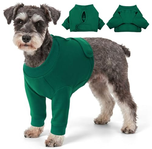 CITÉTOILE hundbody efter oper, sårskyddsdräkter för hundar med ben, främre benskydd för skada hund, anti-sårläckage Op Body hundar, E-krage alternativ, grön, S