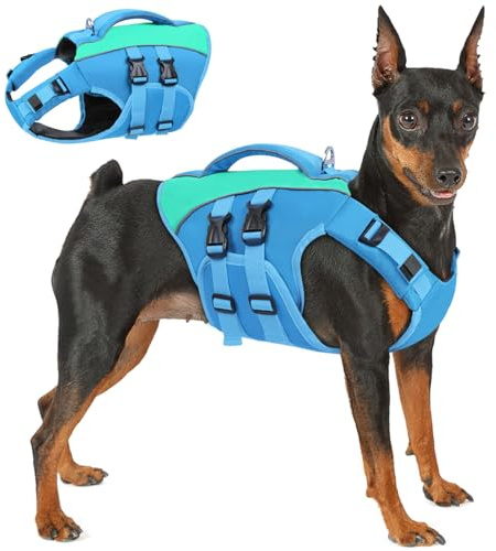Queenmore flytväst hund XL, ripstop hundar flytväst, flytväst labrador, hundflytväst stor hundväst med handtag, båtliv, surfing, blå, XL