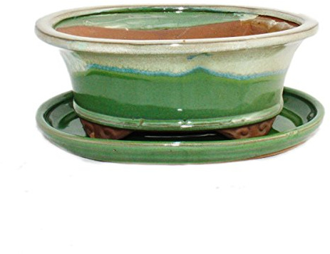 Exotenherz - Bol à bonsaï avec soucoupe taille 8 - vert-beige - ovale - modèle O4 - L 21 cm - l 17 cm - H 6 cm