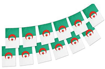 Stormflag Algérie Guirlande 6 mètres 20 Drapeaux France 14x21cm - Drapeau Algérie Bunting 14x21cm
