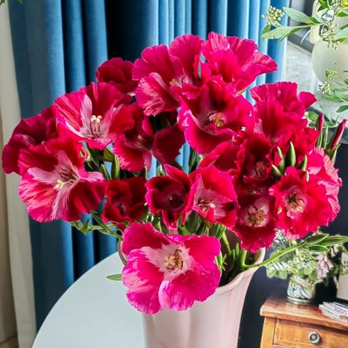 Semi di azalea estiva, per luoghi soleggiati semi di selvatici esotiche copertura del terreno decorazione del soggiorno 100pcs