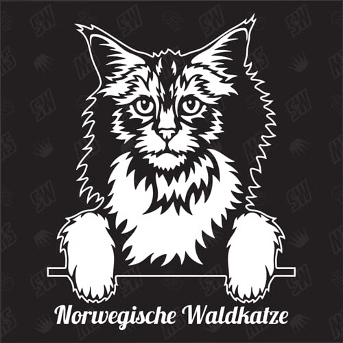 speedwerk-motorwear Norwegische Waldkatze Sticker, Aufkleber, Katzenaufkleber, Cat, Autoaufkleber, Kitten, Kater, Kätzchen, Auto, Tiere, Haustier (AUCH MIT Wunschname MÖGLICH)