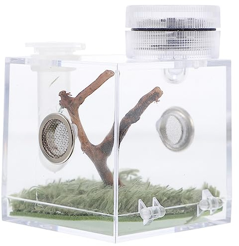 Ipetboom Glasbehälter Für Terrarien 1 Stück Spinnen-Habitat-Box Springende Spinne Zuchtkoffer Spinnen-Aufbewahrungsbox Mit Lampe Spinne Springt Aus Der Box Streich Glasbehälter Für