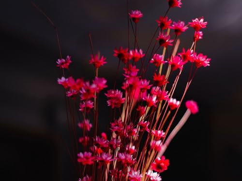 Puzzle 1000 pièces - Puzzle Adultes - Dès 14 Ans-Fleurs, Bouquet, Vase 70x50cm