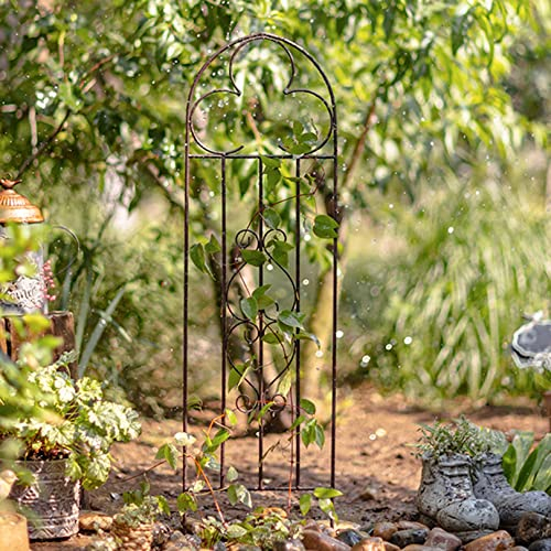 ZYFA Rankgitter Metall Rankhilfe für Kletterpflanzen Kletterhilfe Rankhilfe Rankzaun Rosengitter Beetzaun Beeteinfassung Spalier Garten Pflanzengitter (Size : Small)
