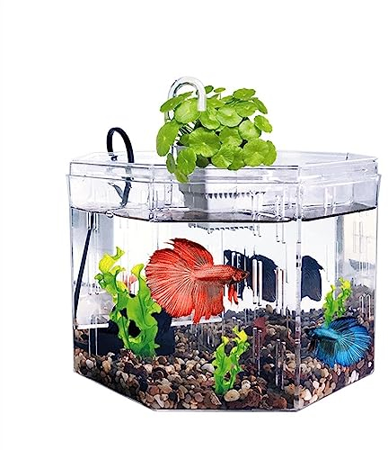 Aquarium Isolationsbox for kleine Aquarien, Zucht, spezielles transparentes Acryl-Aquarium mit Pumpenfiltration, Zieraquarium, Büro, Zuhause Fischtank