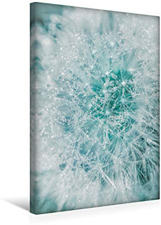 Premium Textil-Leinwand 30 x 45 cm Hoch-Format Pusteblume im Morgentau | Wandbild, HD-Bild auf Keilrahmen, Fertigbild auf hochwertigem Vlies, Leinwanddruck von Jana Mänz