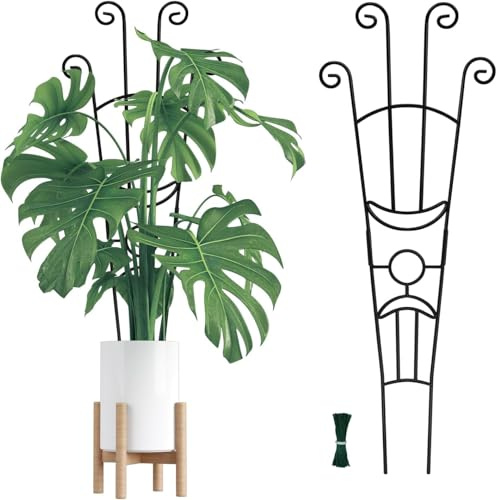 Aoipend Monstera - Piquets de support pour plantes d'intérieur - Treillis en métal pour plantes grimpantes - 82,8 cm