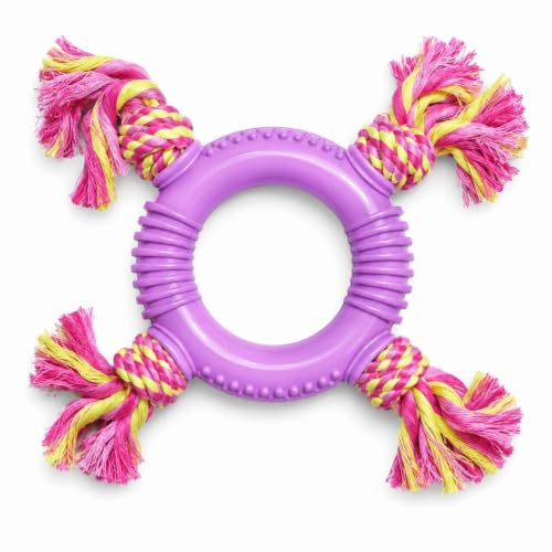 Rubber Ring & Rope Dog Toy, Tough TPR Chew Ring with Cotton Rope, Interactive Tug Toy for Small, Medium & Large Dogs, Dental Cleaning Toy, 25cm, Pink