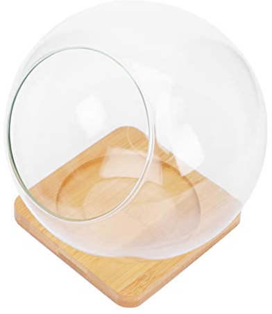 TOYANDONA Glass Succulent Vase and Moss Flowerpot with Slanted Opening, 13.5x13.5cm Glass Micro Landscape Bottle Set with Bamboo Mat, Decorative Home Organizer for Succulent Plants and Terrariums