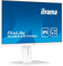 iiyama Prolite XUB2497HSU-W2 60,5cm 23,8 IPS LED-Monitor Full-HD 100Hz HDMI DP USB2.0 Slim-Line Höhenverstellung Pivot Adaptive Sync weiß