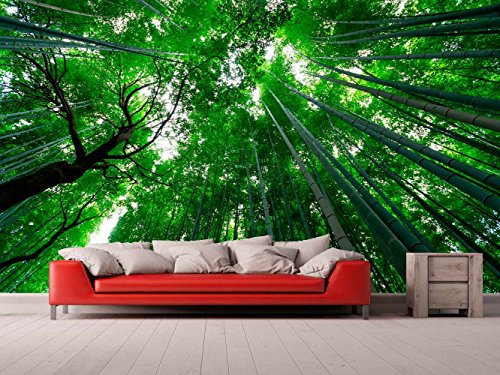 Fotomural Vinilo Pared Vista Fugada Bambú | Fotomural para paredes | Mural | Vinilo Decorativo | Varias Medidas 600 x 300 cm | Decoración comedores, salones, habitaciones...