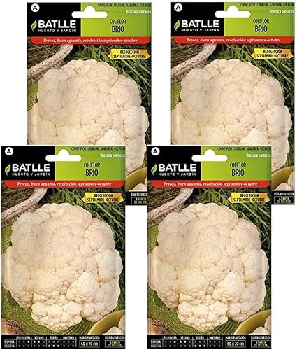 Semillas de coliflor brio urgelba Semillas Batlle PACK (4)