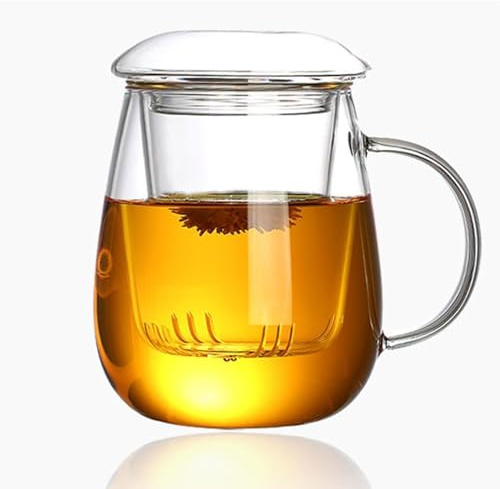 YAZEDLOP Clear Glass Tea Cup with Glass Lid and Infuser 400ml Large Glass Mugs for Loose Tea or Tea Bags