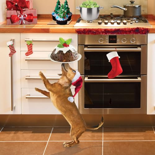 XP100AFF Weihnachtskarten mit Weihnachtsmannmütze, Weihnachts- und Neujahrskarten, 5 Stück