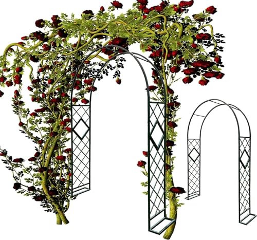 Garden Arch with Plant Support for Climbing Plants Schwarz Steel Archway for Roses Grapevines and More 260x230x40cm