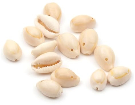 Coquilles de mer Coquilles de mer mixtes, Coquillages for l'artisanat 50 pièces 9-20 mm coquillages naturels décoration de plage artisanat bricolage décoration de la maison style marin aquarium conque