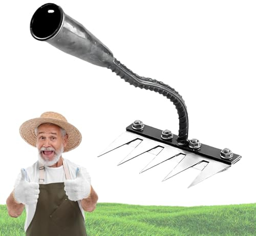 Rateau pour DéSherber avec Manche, Radeau De Desherbage Berthaus avec Manche pour Jardinage Et DéSherbage (5 Dents)