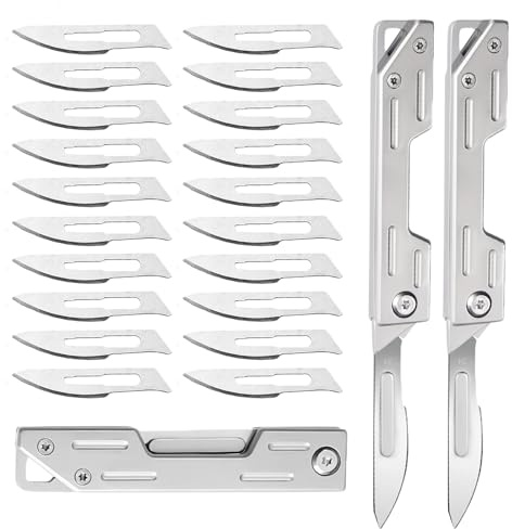 BAIFULAI 2 Stück Klappmesser Skalpell: Utility EDC Taschenmesser Messer mit 20 Auswechselbare Klingen Figur 23, Unisex Mini Taschenmesser für Outdoor-Jagd, Camping, Angeln, Wandern(Silber)
