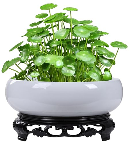 Comebachome Fioriera Lotus Bowl, fioriera in ceramica da 8, 1x3, 0 pollici con supporto, vasi bonsai rotondi per ufficio, giardino, interni ed esterniDecorazione domestica