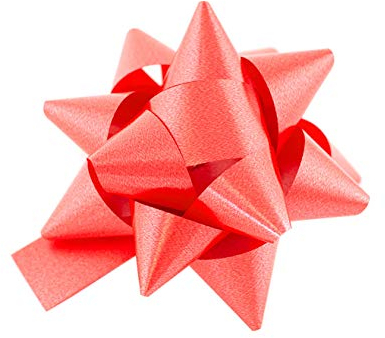 Star 10 Geschenkschleifen Rosetten 8cm Rot