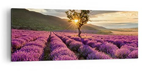 ARTTOR Leinwandbild 140x50cm Wandbild Botanik Landschaften - 3645 | Lavendel Gebirge Feld Panorama Groß XXL Wanddekoration Wohnzimmer Schlafzimmer Wanddeko Wand Kunstdruck Wandkunst ARTTOR