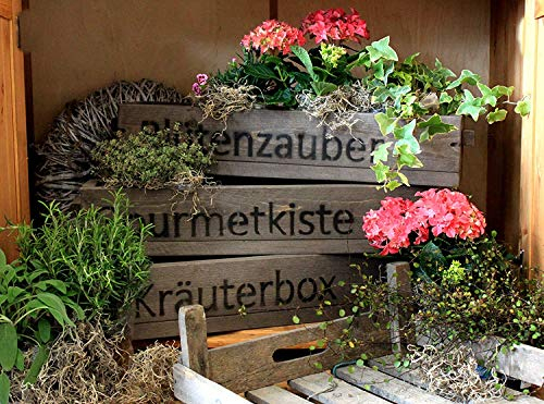Dekorie Blumenkasten aus massiven Holz mit (Blütenzauber) Schriftzug - Farbe: Braun - Maße (HxBxT): 12 cm x 60 cm x 15 cm - hübsche Blumenkisten für Balkon, Garten oder im Haus