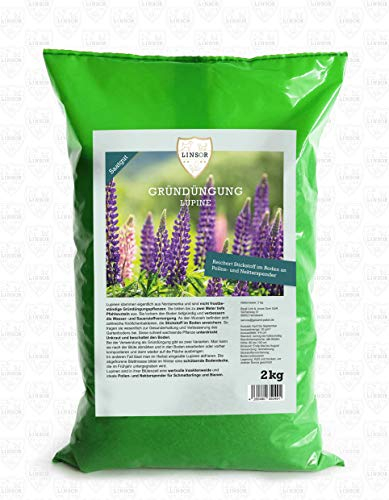 Linsor Lupinen Gründünger, blaue Süßlupine, Blumensamen, Bodenverbesserer Herbst, 2kg für 60m²