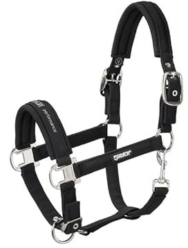 Halfter DOUBLE PIN BUCKLE SOFTSHELL CORE