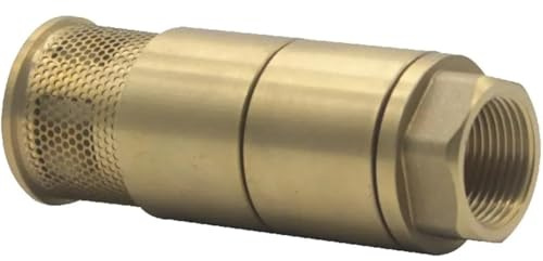 FGNIWAAE Rückschlagventil aus Messing for Kraftstoffe – DN25, DN40, DN50, DN65, DN80 – Kupfer-Doppeltür-Bodenventil for Pumpen(DN65)