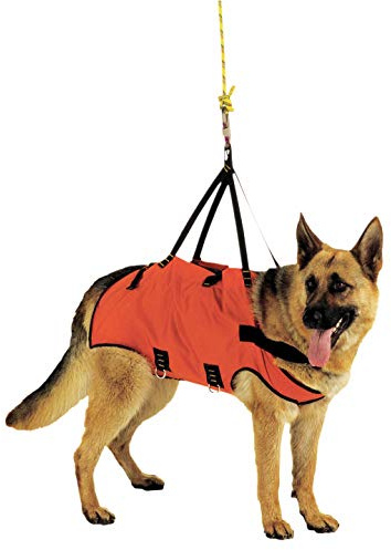 Alp Design. Taxi. Imbracatura di Emergenza per Cani. Materiali Resistenti e Leggeri. Design Ergonomico, Trasporto Confortevole. Borsetta Inclusa. Made in Italy. L