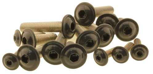 Screws4Bikes | 25x M6x12 | Linsenkopfschrauben mit Flansch TX | RAL 7016 anthrazit-grau | Edelstahl V2A | ISO 7380-2 mit Innensechsrund/Torx