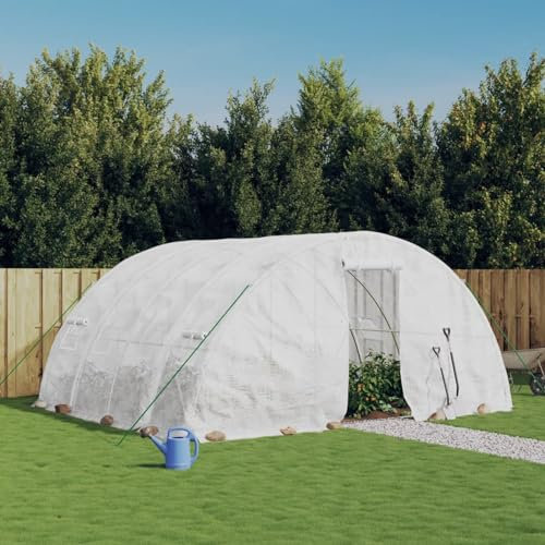 GuyAna Serre avec Cadre en Acier Blanc 20 m² 5x4x2,3 m,Carport Abri Voiture,Serre Tunnel