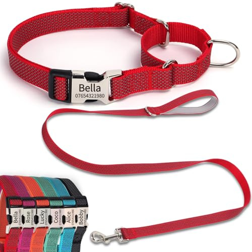 SEOUGEE Martingale Hundehalsband Personalisiert und Leine Set, Reflektierendes Nylon Anti-Choke Hundehalsband und -Leine mit Gravierter Schnalle, Spaziergangstraining für Kleine Hunde (S Rot Set, 30