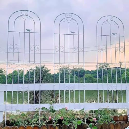Treillis de jardin autoportant pour plantes grimpantes Cadre de support en métal pour roses, vignes, lierre et clématites Treillis décoratif blanc 110 x 50 cm