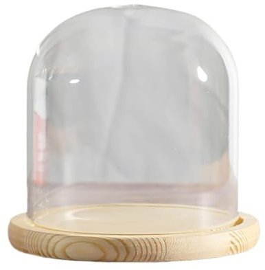 Campana di vetro da esposizione per barattoli, Espositore a campana in vetro con base in legno massello, diametro 20 cm, altezza 20-30(Dia20*H30cm)