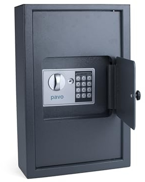 Pavo - Armoire de Gestion de Clés Haute Sécurité et Robuste pour Usage Extérieur, jusqu’à 50 Clés – Gris, 8009022