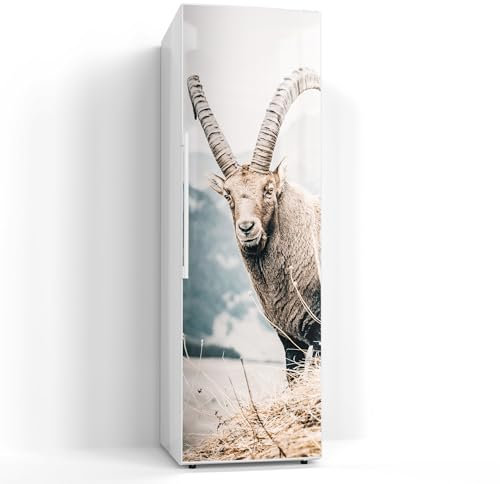 DEQORI Magnetfolie für Kühlschrank 60x190 cm | Motiv Wächter der Berge | dekorative Magnetmatte Gefrierschrank Schutz | Magnet Deko-Folie selbstklebend, magnetisch & beschreibbar