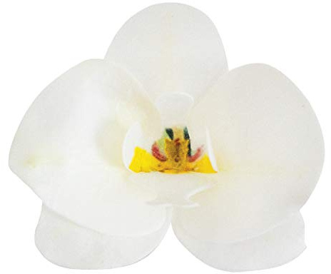 Dekora – Fleurs Comestibles pour Gâteau, 10 Gaufrettes Orchidées Blanches 8.5 x 7.5 cm, sans Sucre, sans Gluten, sans Lactose, Décoration Gâteau pour Anniversaire, Mariage, Baptême
