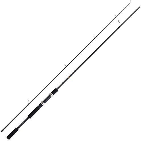 Rod FX XT Spinning, Silber/schwarz, 2.40 m 10-30g