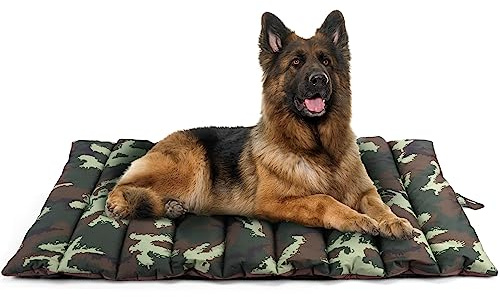 XIAPIA Stor hundsäng, vattentät hundsäng, utomhus och inomhus, hundfilt, hundfilt, bärbar hopfällbar hundmatta, tvättbar, 110 x 66 cm
