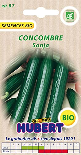 25 Graines Biologiques de Concombre Sonja