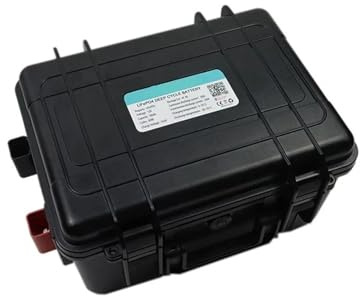 Batterie Lithium-Fer-Phosphate 12 V 30 Ah, 50 Ah, 100 Ah, 120 Ah, 150 Ah, Version Bluetooth, Compatible avec Une Alimentation Portable 12,8 V(12V 100Ah Battery)