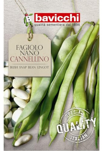 Bavicchi semi Fagiolo nano Cannellino 500g