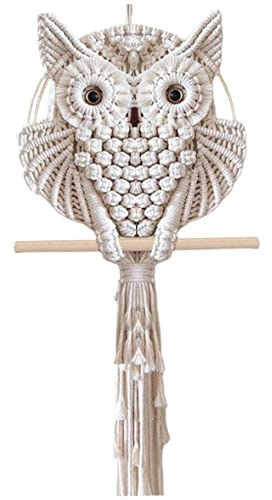 Obelunrp Macrame Wall Hangings, Cotton Rope Woven Owl Art Tassels Tapestry for Home Wall Decoration (15x45cm)