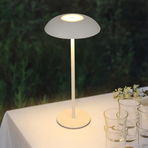 DESGNT Cordless Rechargeable Table Lamps,Wireless LED Outdoor Table lamp,USB Battery Lamps dimmable 3000K-6000K,Metal Bedside Light with Touch Control,Portable lamp for Bedroom,Garden,Restaurant
