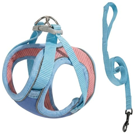 Neptuiby Ausbruchsicheres Katzengeschirr, Katzenleinen-Set, doppeltes Sicherheitsdesign, reflektierende Streifen, weiches Wildlederfutter, Farbblockblau, Größe L (8–15 Pfund), 1, 5 m Leine.