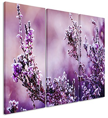 Eau Zone GmbH Kunstdruck auf Leinwand 3 teilig je 40x90cm Bild – Lavendel im Detail