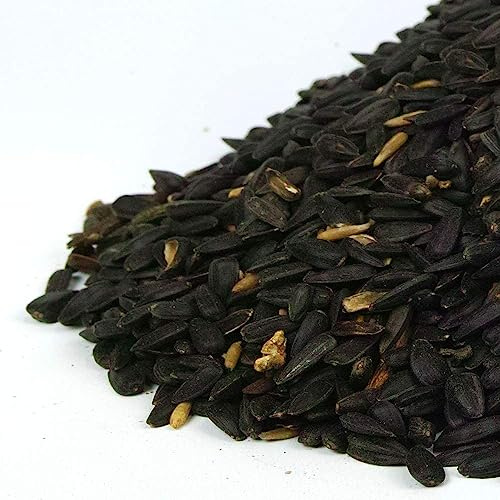 Graines de Tournesol Noir GardenersDream - Nourriture Riche en Huile pour Les Oiseaux Sauvages du Jardin (15kg)